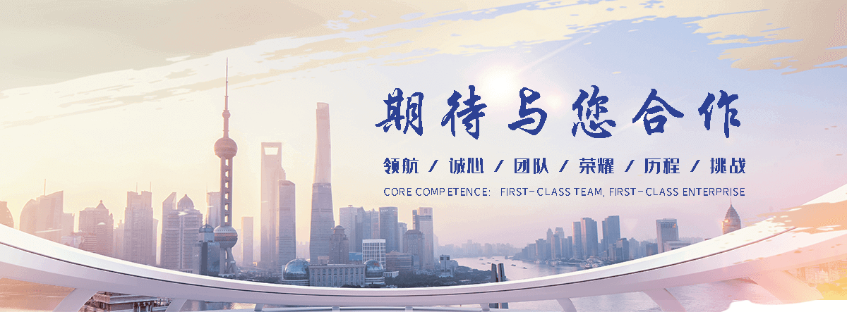 狐域咨询(滨州分公司)